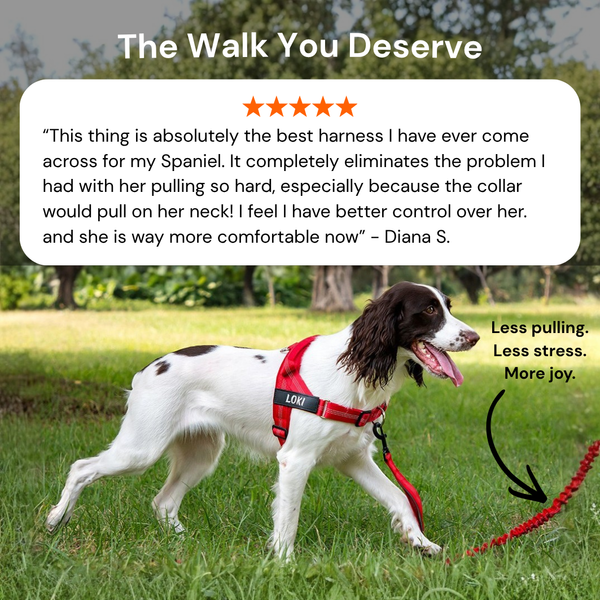 No-Pull Dog Harness - Instant Front-Clip Control