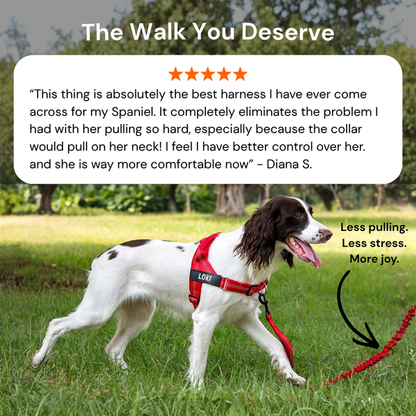 No-Pull Dog Harness - Instant Front-Clip Control