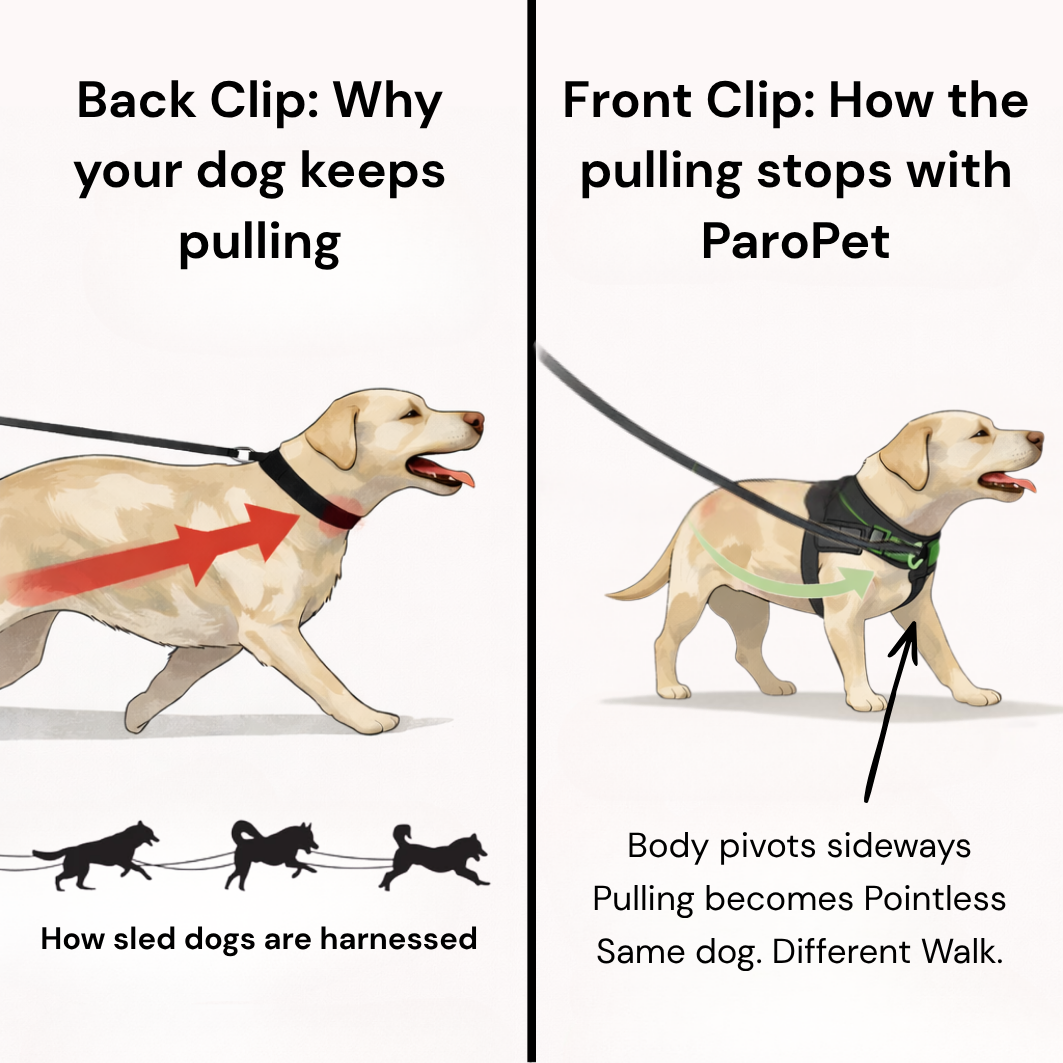 No-Pull Dog Harness - Instant Front-Clip Control