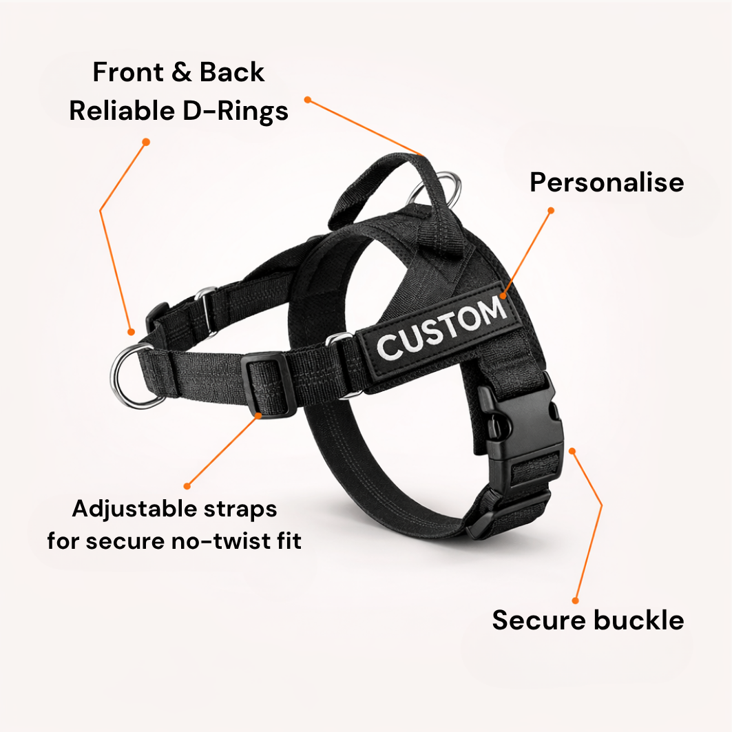 No-Pull Dog Harness - Instant Front-Clip Control