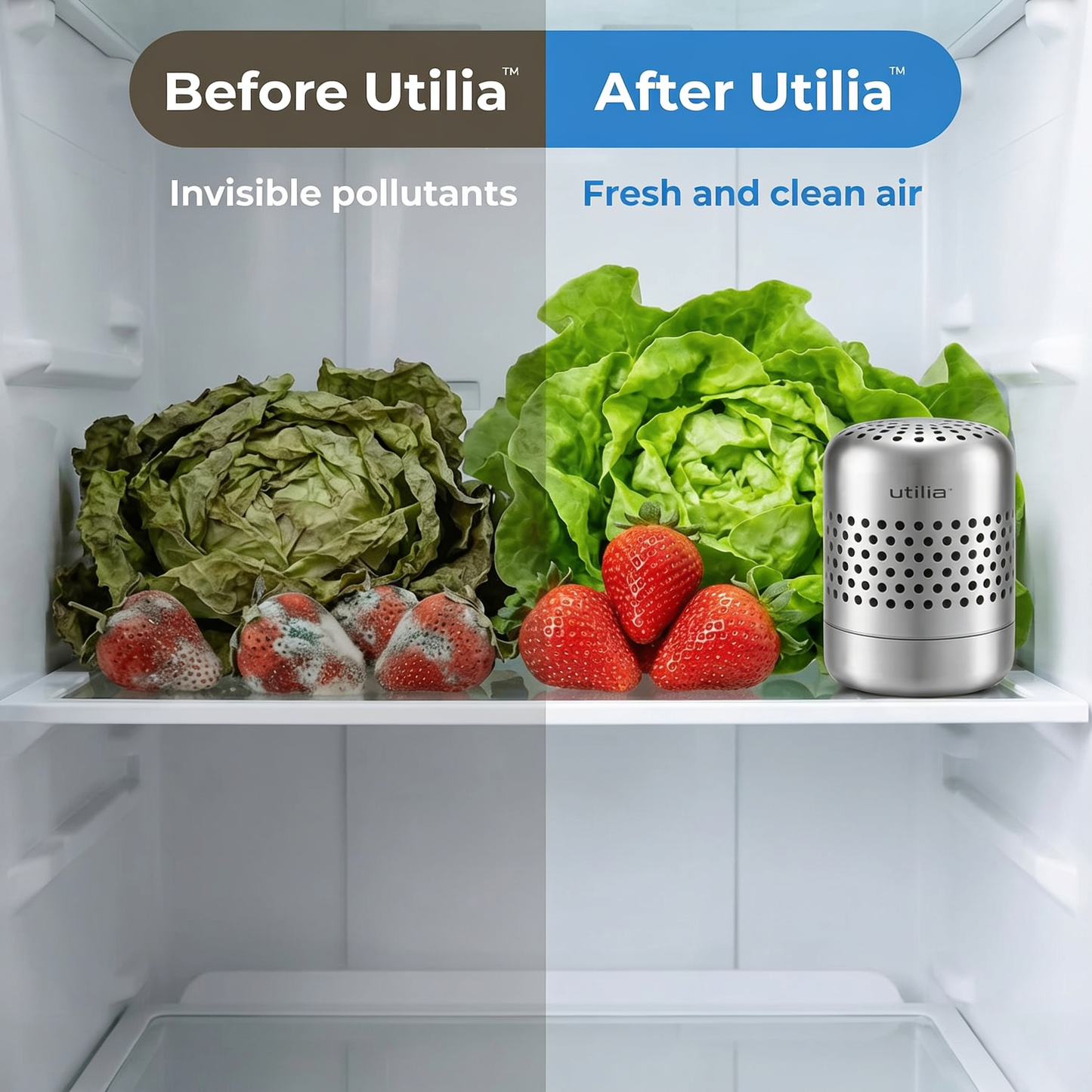 Utilia™ Refrigerator Purifier