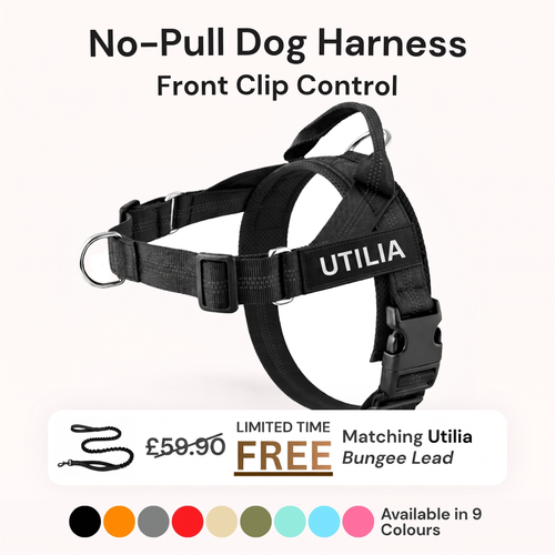 No-Pull Dog Harness - Instant Front-Clip Control