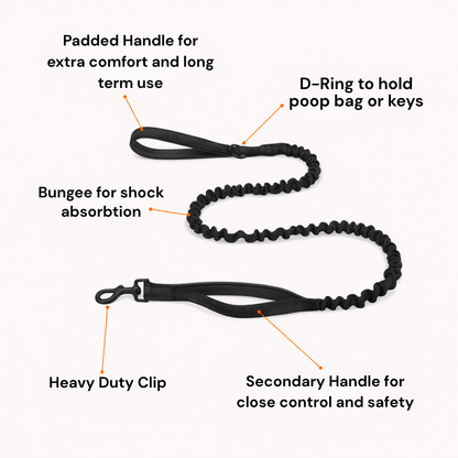 No-Pull Dog Harness - Instant Front-Clip Control
